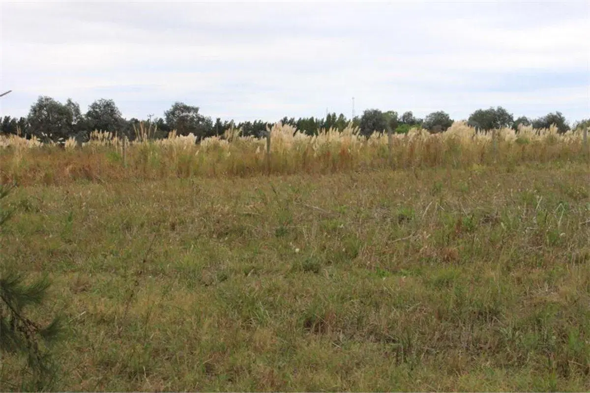 VENTA LOTES DE 2.200 M2 CARDALES CAMPANA 5