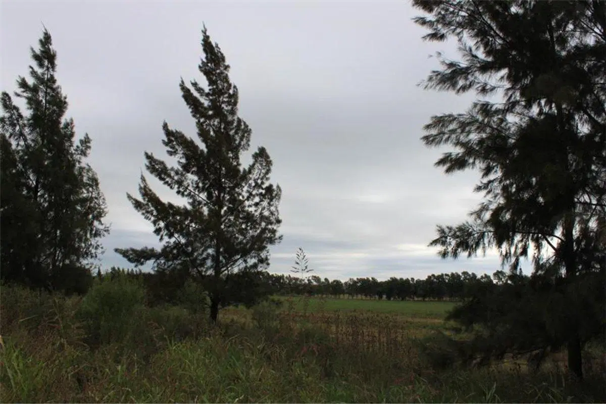 VENTA LOTES DE 2.200 M2 CARDALES CAMPANA 3