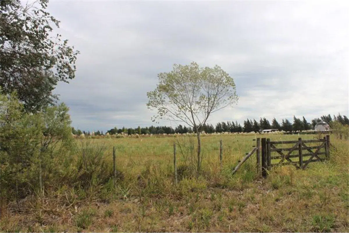 VENTA LOTES DE 2.200 M2 CARDALES CAMPANA 4