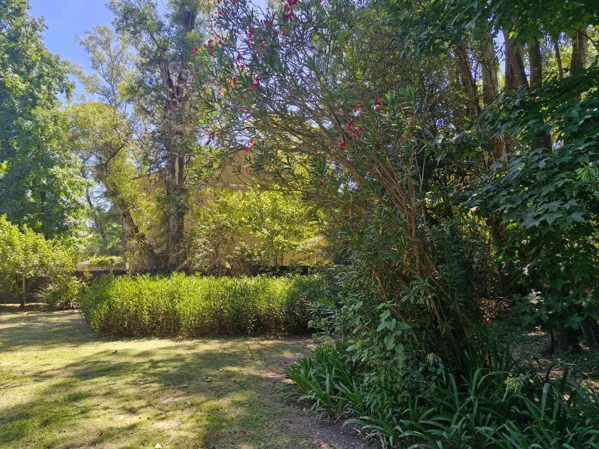 LOTE  EN VENTA LA LONJA 4