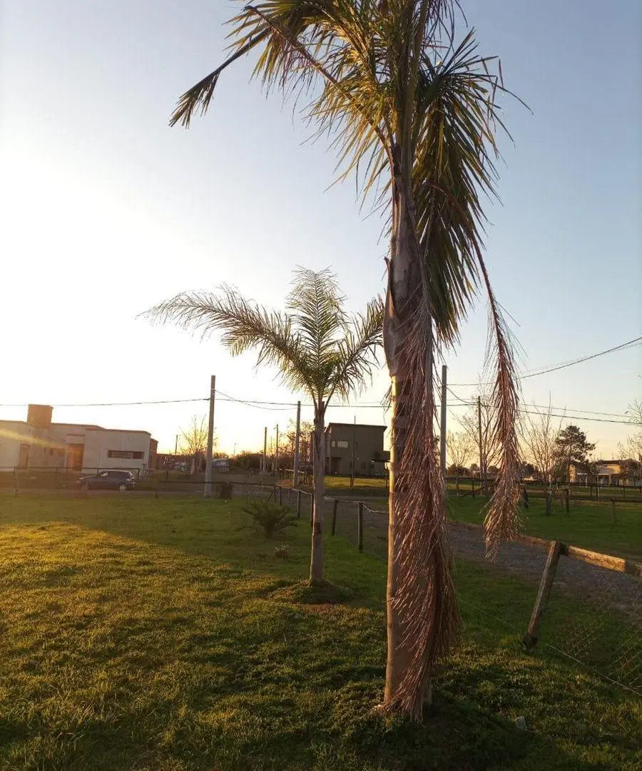 VENTA LOTE BARRIO CHACRAS LA PRUDENCIA EL CAZADOR 5