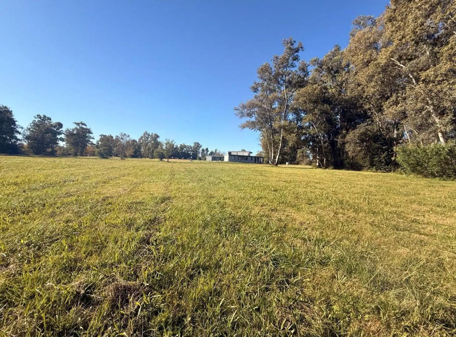 VENTA LOTE PINARES ETAPA 1 EXALTACIÓN DE LA CRUZ 5