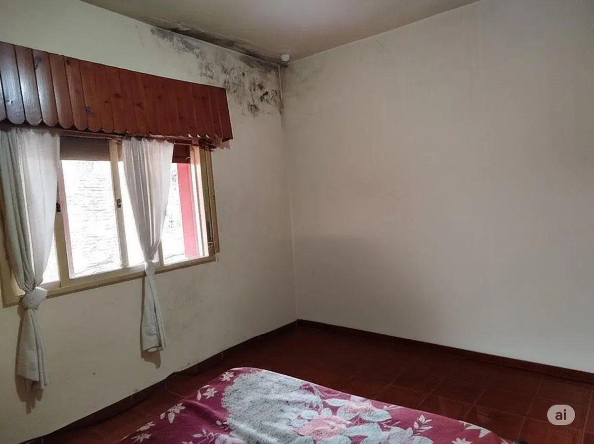 CASA + DEPTO EN VENTA VILLA DE MAYO, MALVINAS ARG. 5