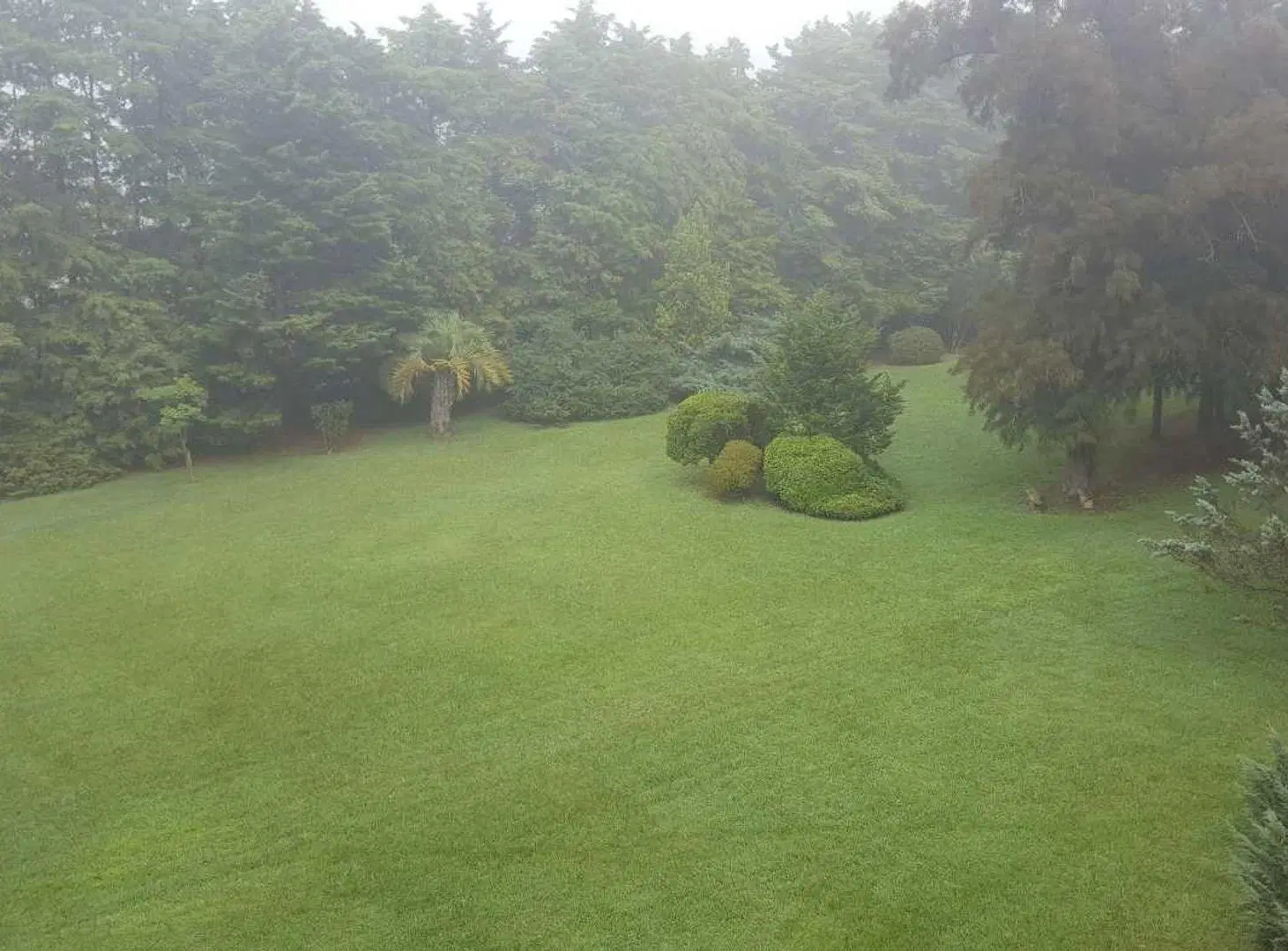 Venta Exclusiva Quinta 4 hectareas en Lujan 2
