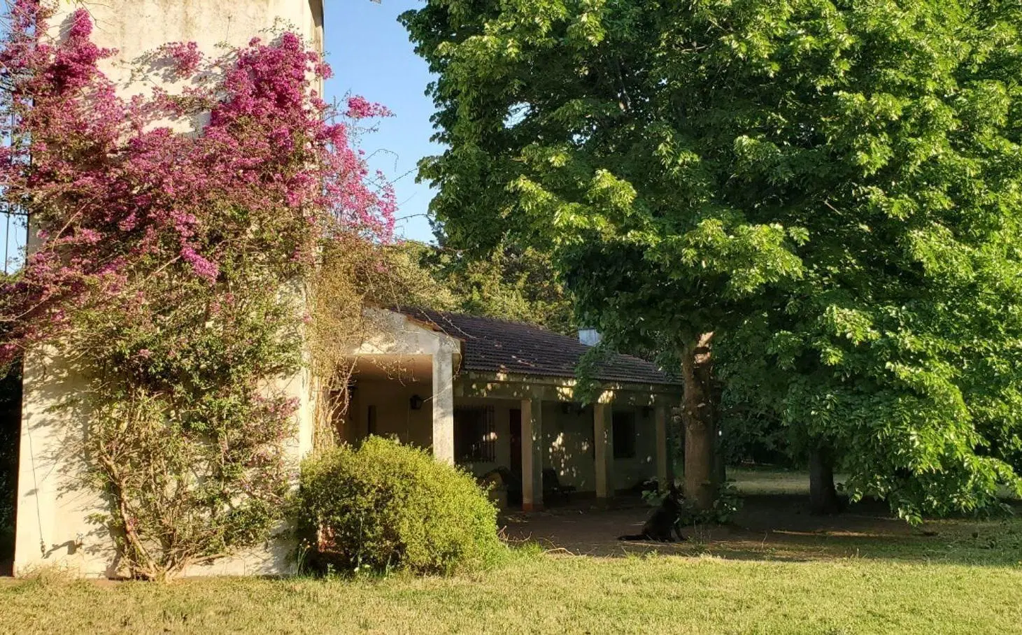 Venta Exclusiva Quinta 4 hectareas en Lujan 4