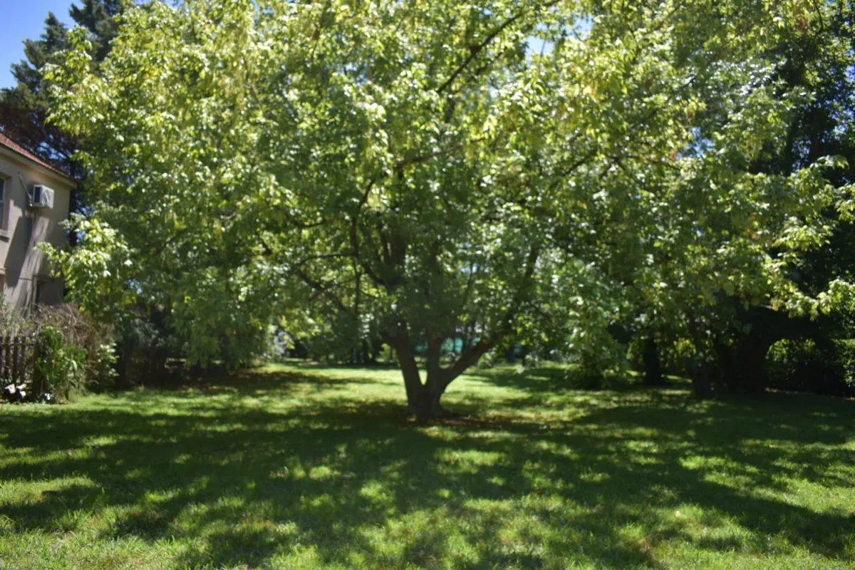 LOTE EN VENTA 1600 M2 B° ROCIOS DEL PILAR 4