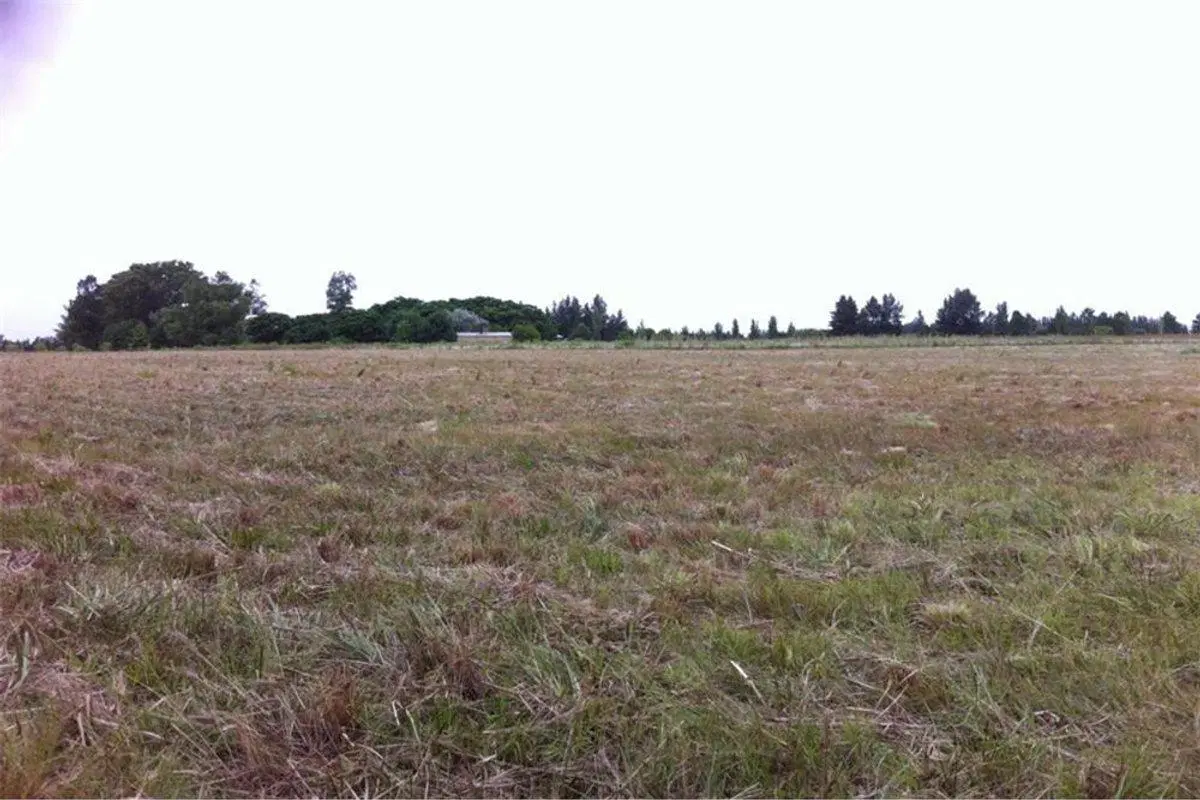 VENTA LOTES DE 2.200 M2 CARDALES CAMPANA 8