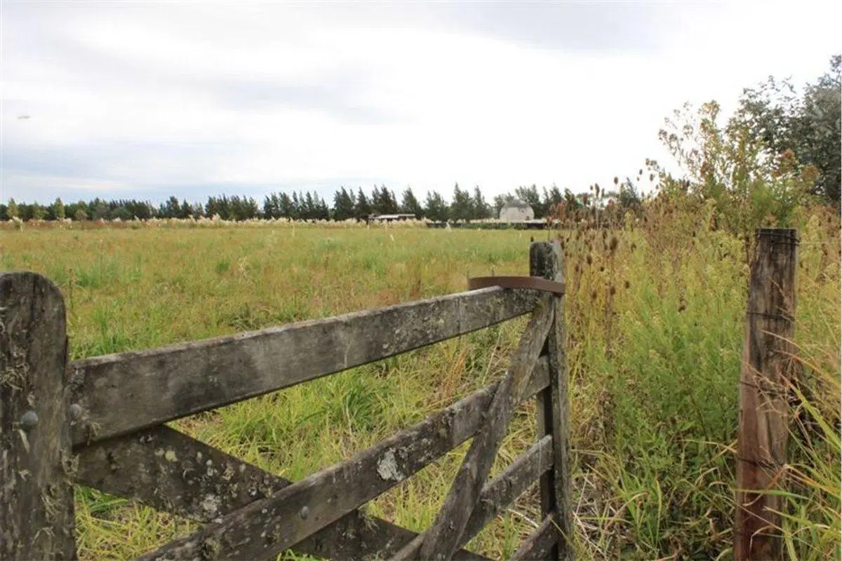 VENTA LOTES DE 2.200 M2 CARDALES CAMPANA 4