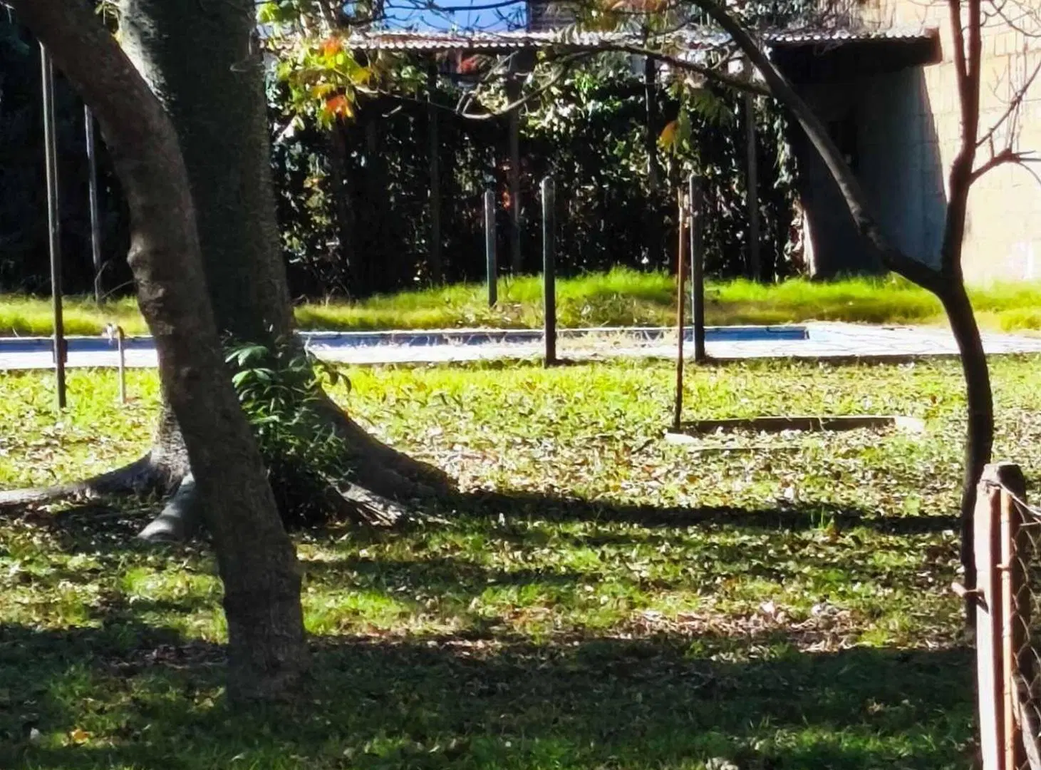 Lote a 50 metros ruta 197 Talar de Pacheco 3