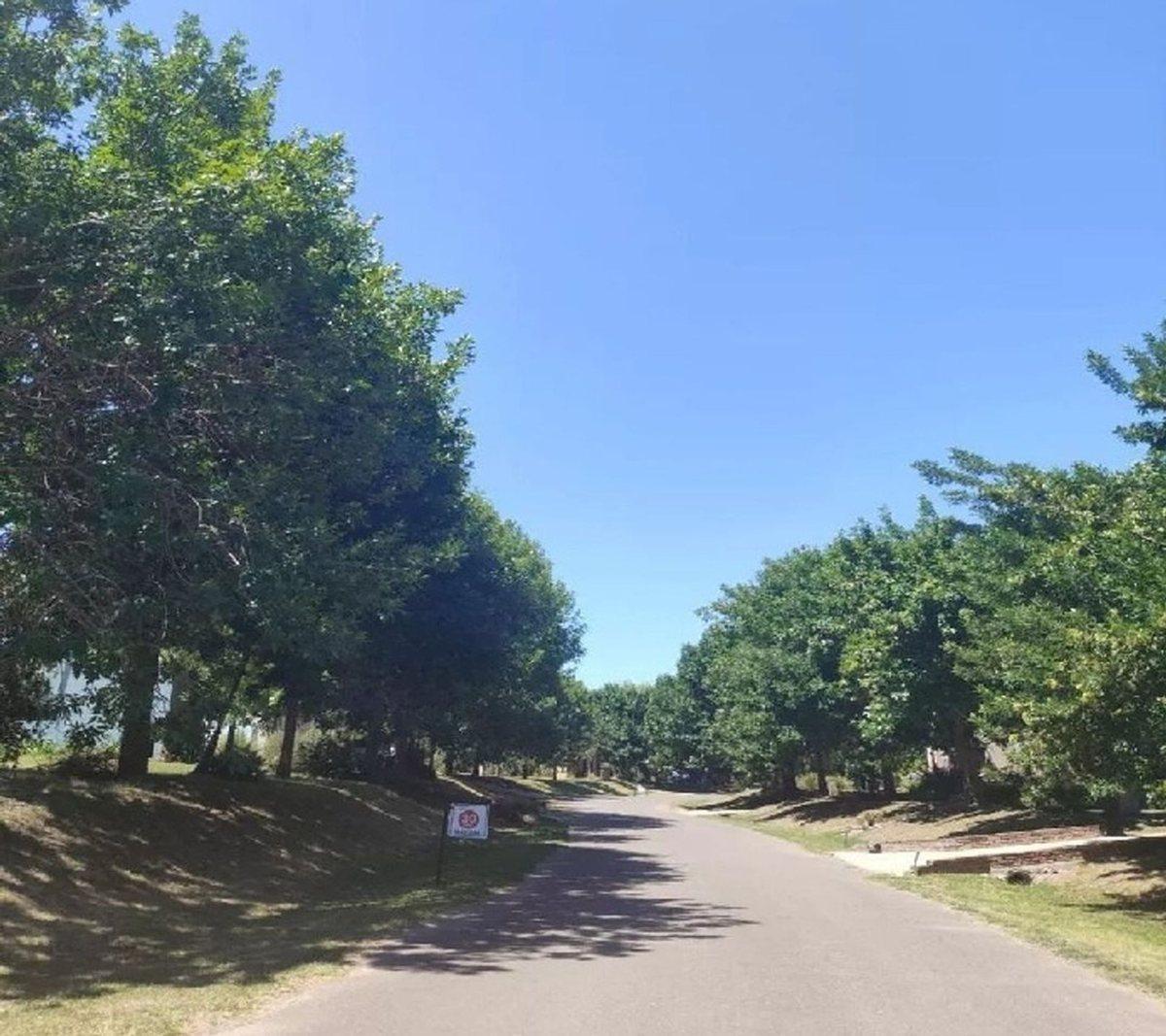 Foto de VENTA LOTE EN MANZANARES OPORTUNIDAD, imagen 5