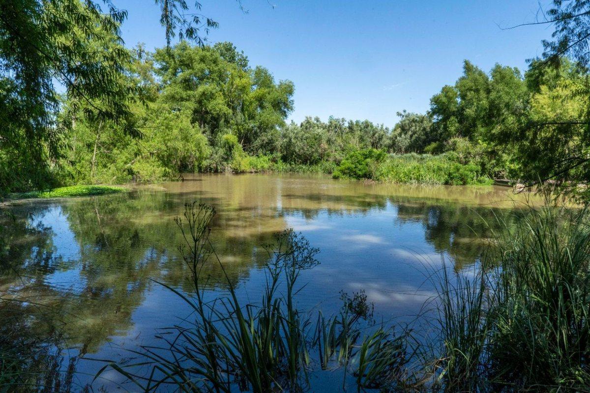 Foto de Venta Lote/Terreno Hipocampo con salida al rio!, imagen 4