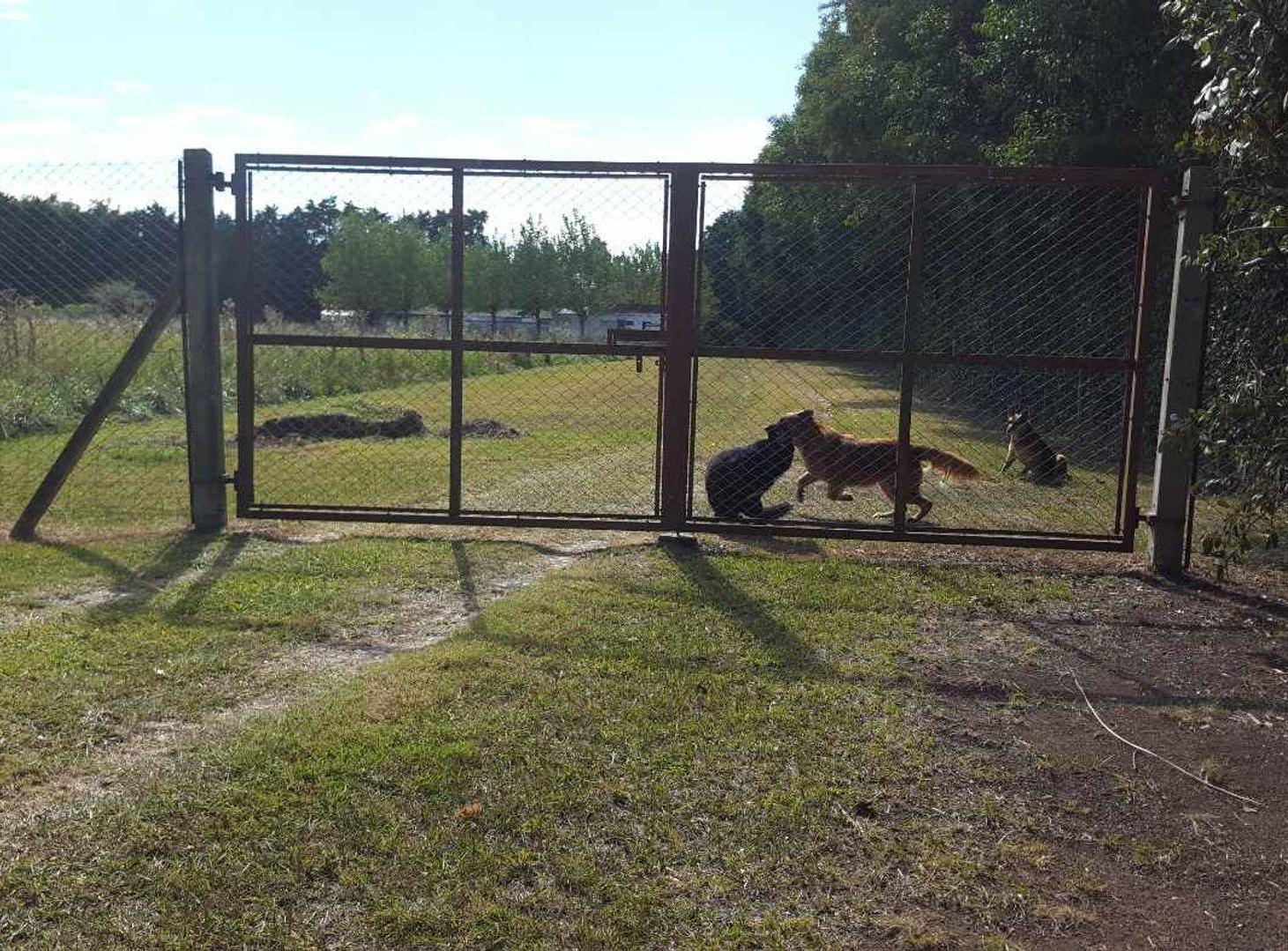 Foto de Venta Exclusiva Quinta 4 hectareas en Lujan, imagen 3