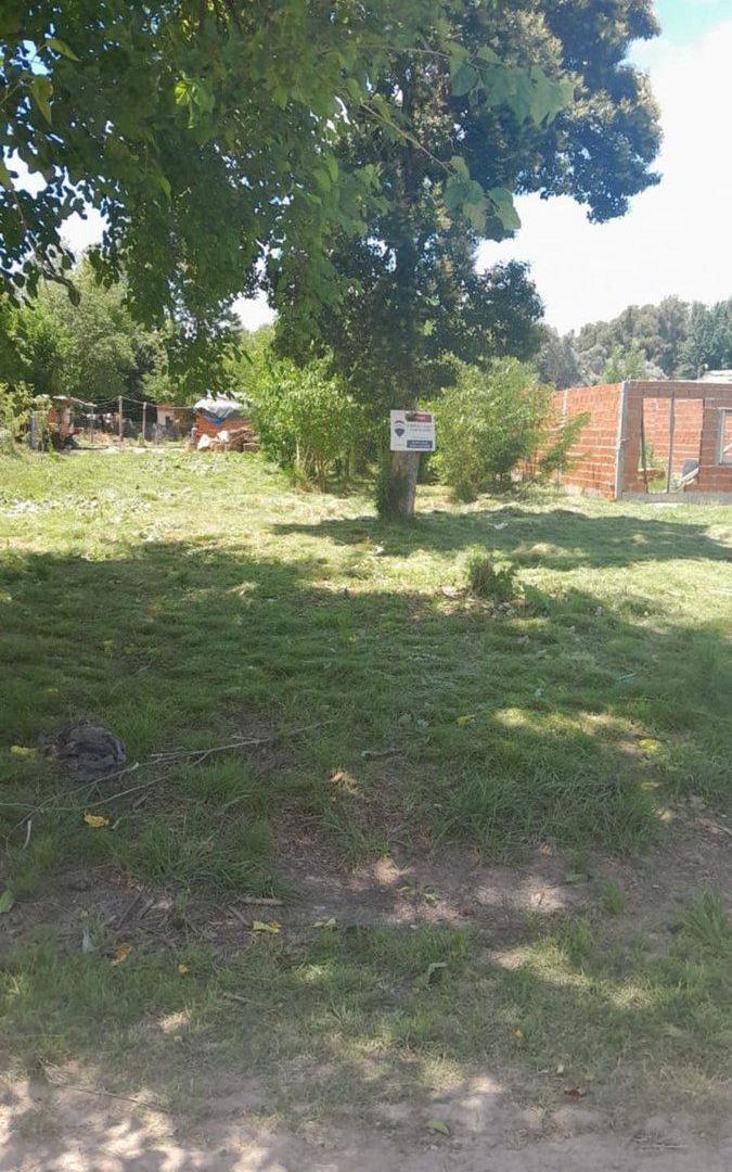 Foto de TERRENO EN VENTA EN PAVON EXALTACION DE LA CRUZ, imagen 2