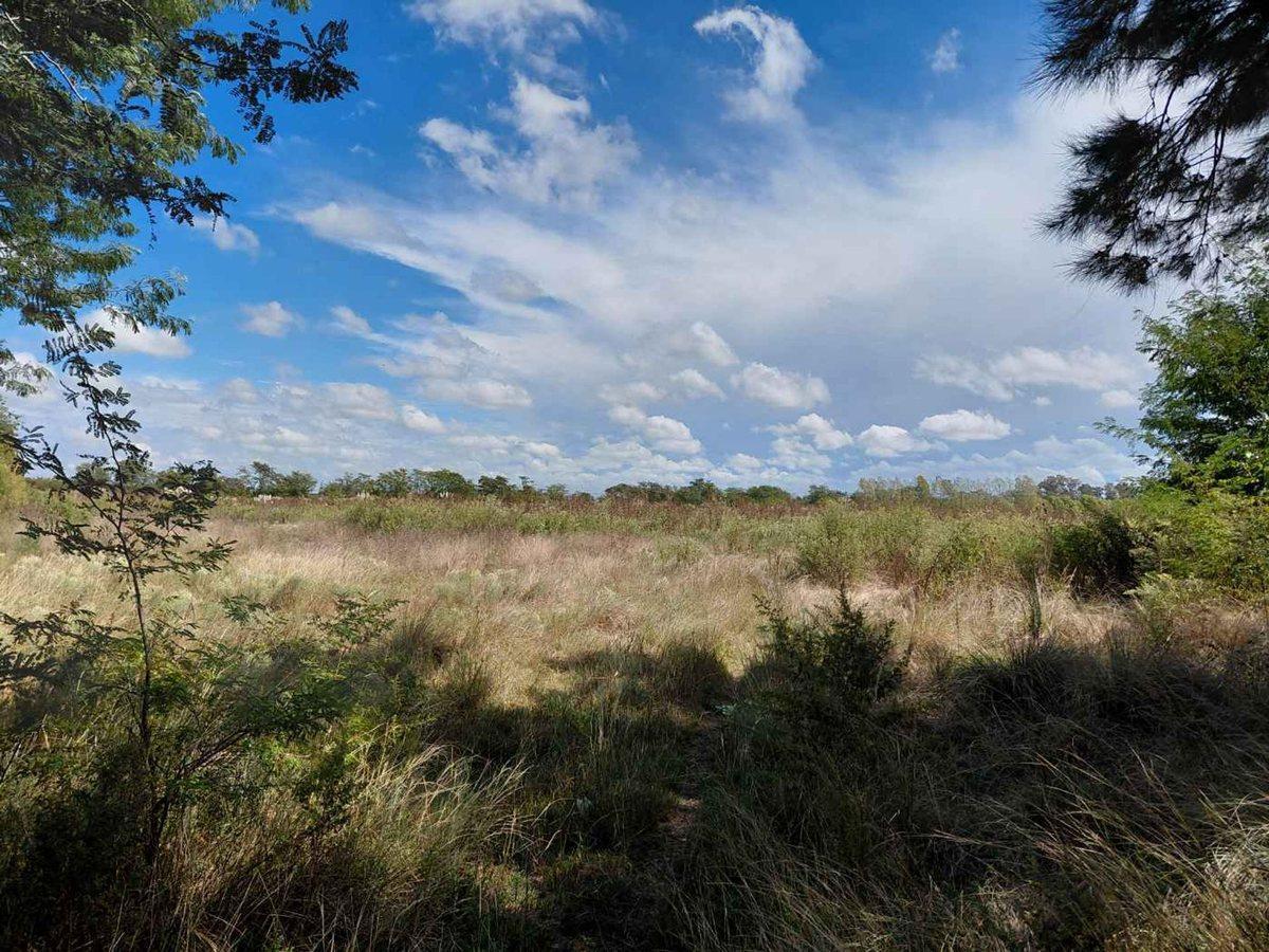 Foto de TERRENO EN VENTA MANZANARES PILAR 5 HA INVERSORES, imagen 3