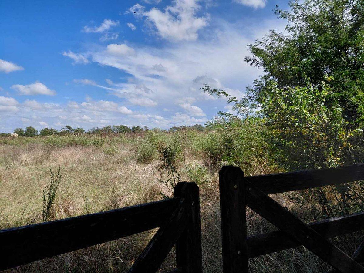 Foto de TERRENO EN VENTA MANZANARES PILAR 5 HA INVERSORES, imagen 4