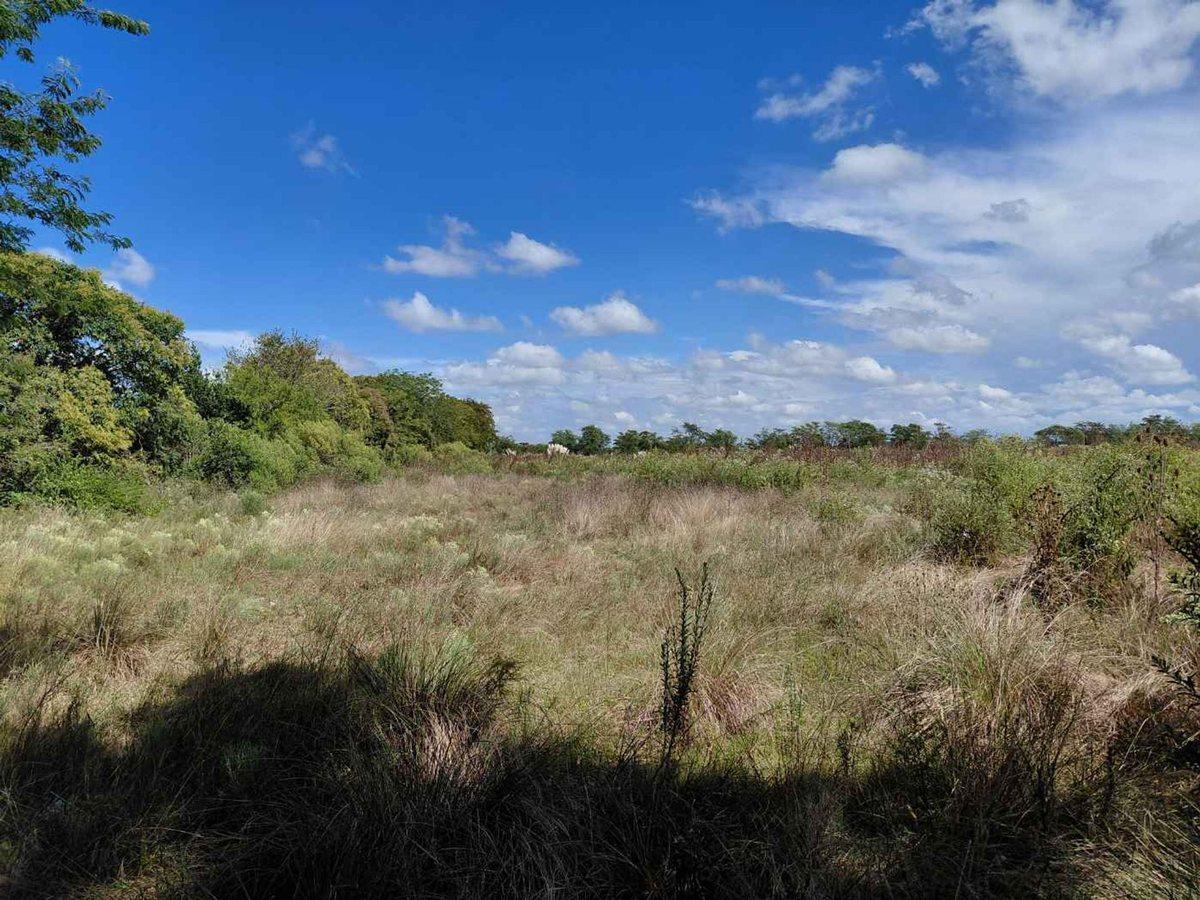 Foto de TERRENO EN VENTA MANZANARES PILAR 5 HA INVERSORES, imagen 1