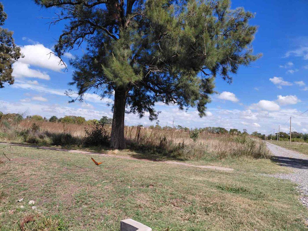 Foto de TERRENO EN VENTA MANZANARES PILAR 5 HA INVERSORES, imagen 2