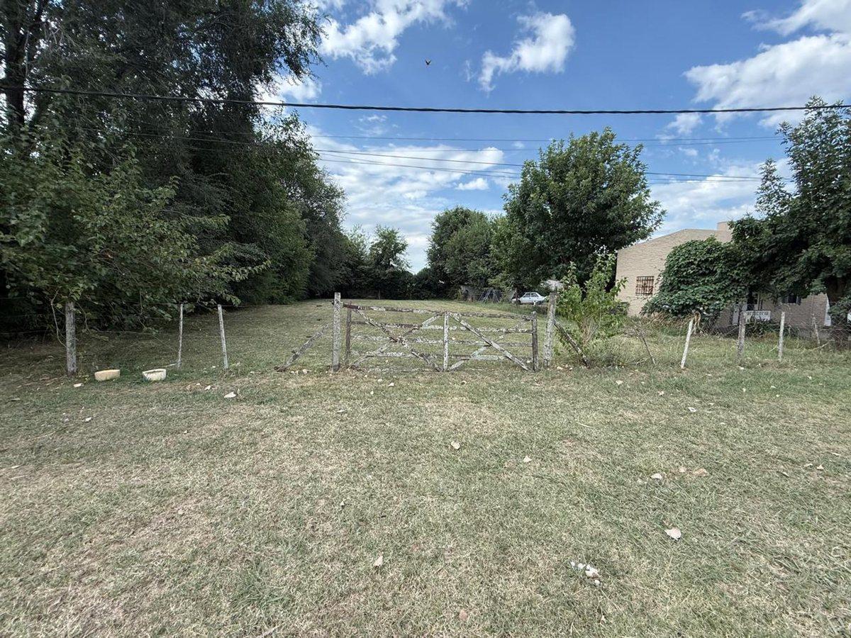 Foto de Lote de 800 m² - EXALTACION DELA CRUZ, imagen 4