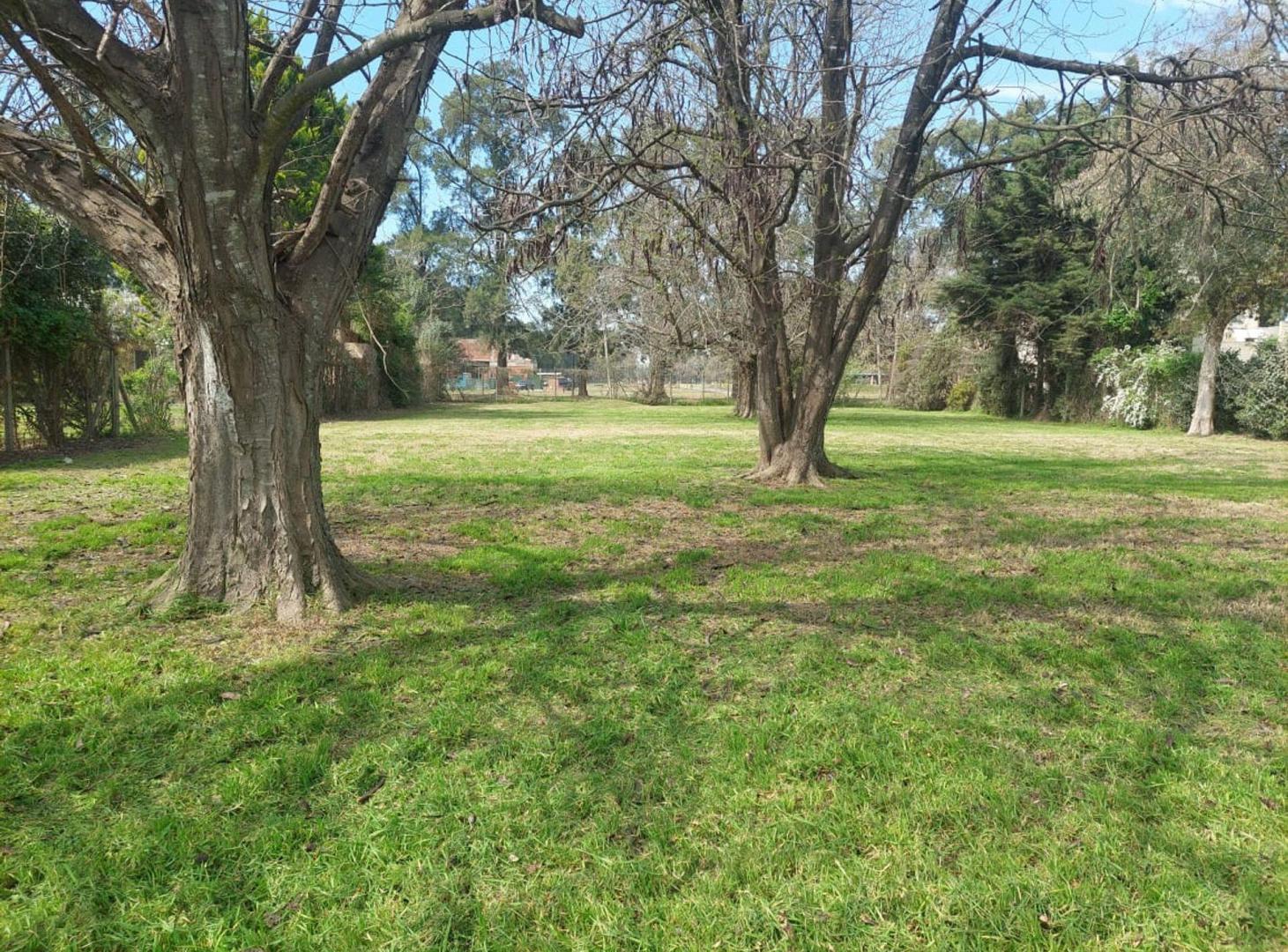 Foto de Lote Amplio a la venta en Robles Del Monarca, imagen 5