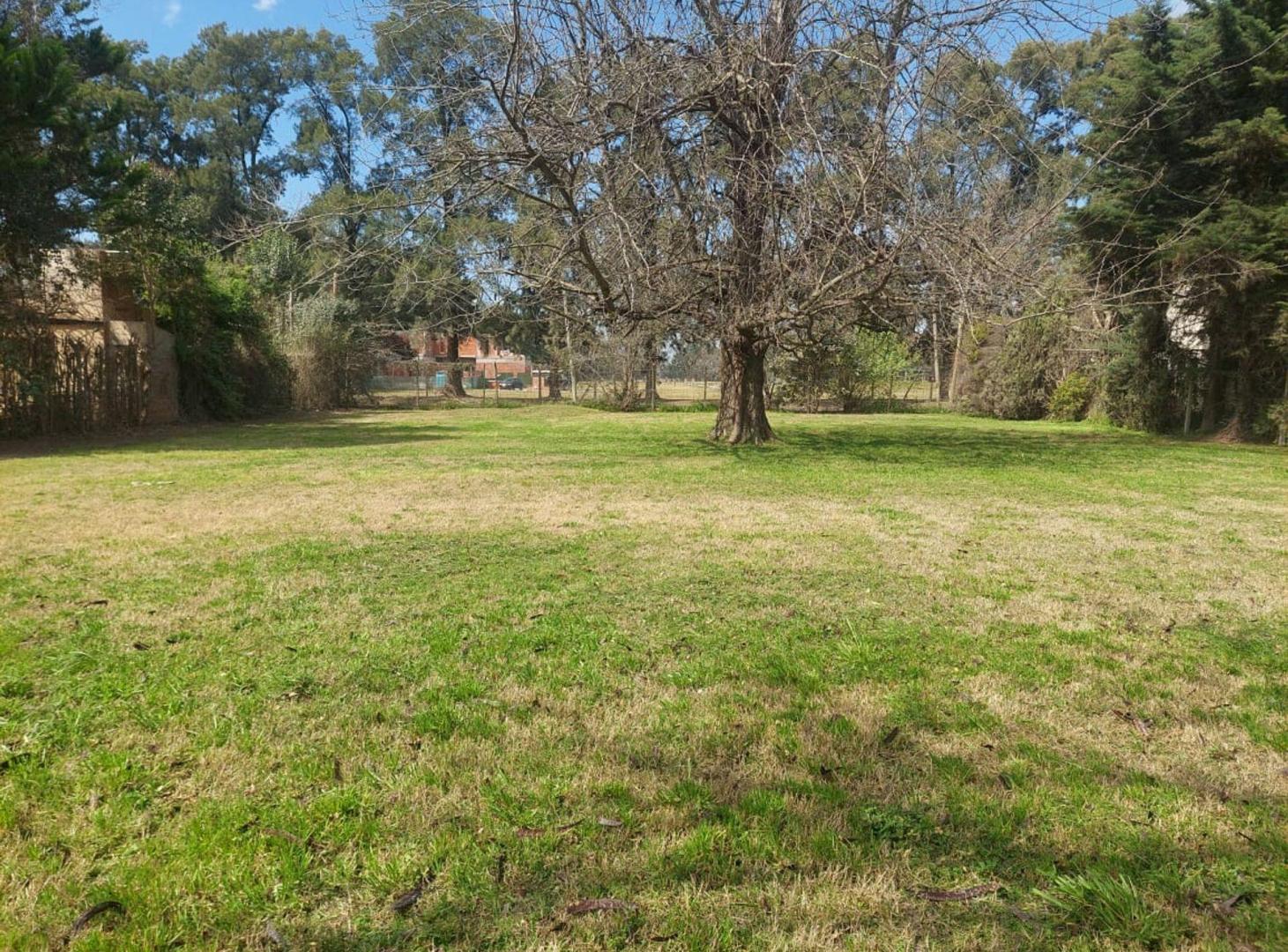 Foto de Lote Amplio a la venta en Robles Del Monarca, imagen 3