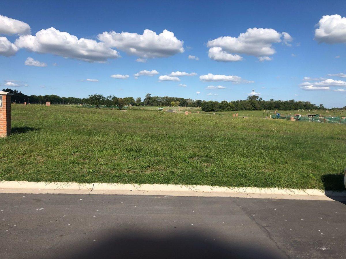 Foto de LOTE EN VENTA GRAN OPORTUNIDAD, imagen 2