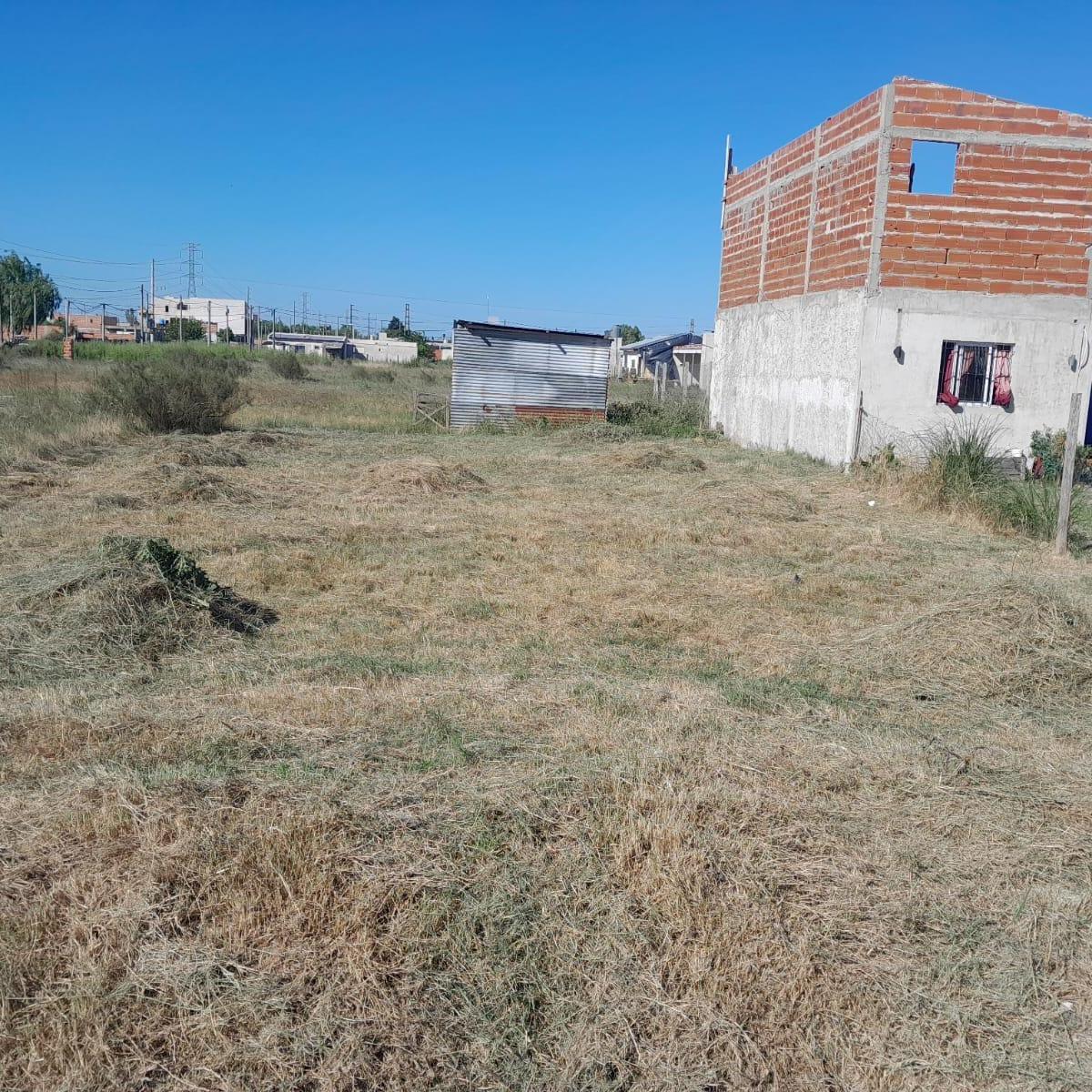 LOTE MELCHOR ROMERO