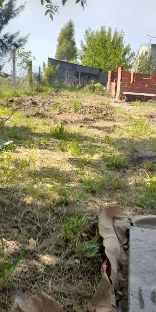 Foto de Terreno de 350 m² en venta en Villa Garibaldi, imagen 5