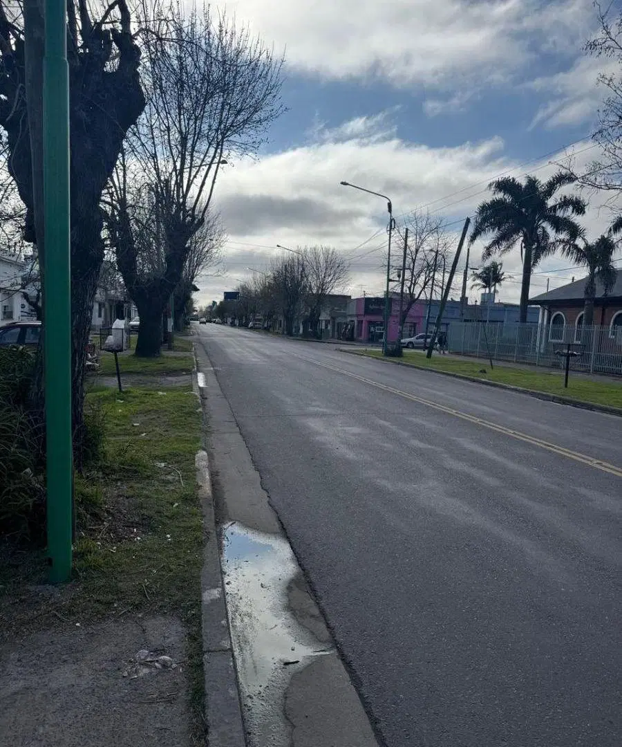 Galpón en Venta en Ensenada Bossinga e/ Ferella y La Paz 4