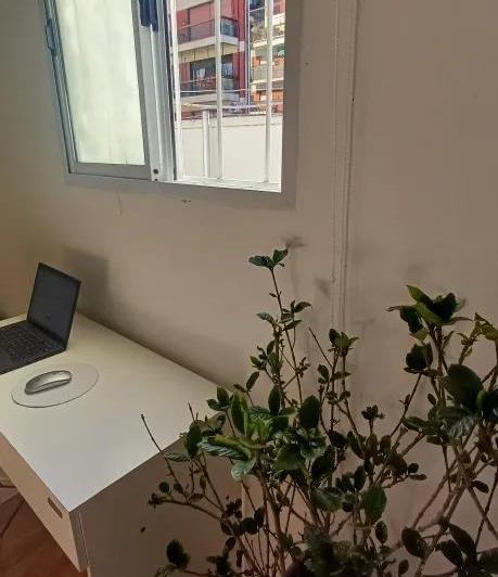 DEPARTAMENTO MONOAMBIENTE EN ALQUILER BELGRANO CHICO 2