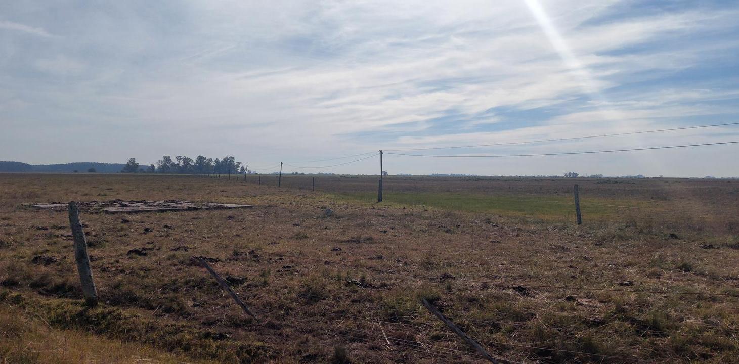Foto de Ruta 54 (Acceso a Oliden) Campo en de 155 Hectáreas en VENTA, imagen 4