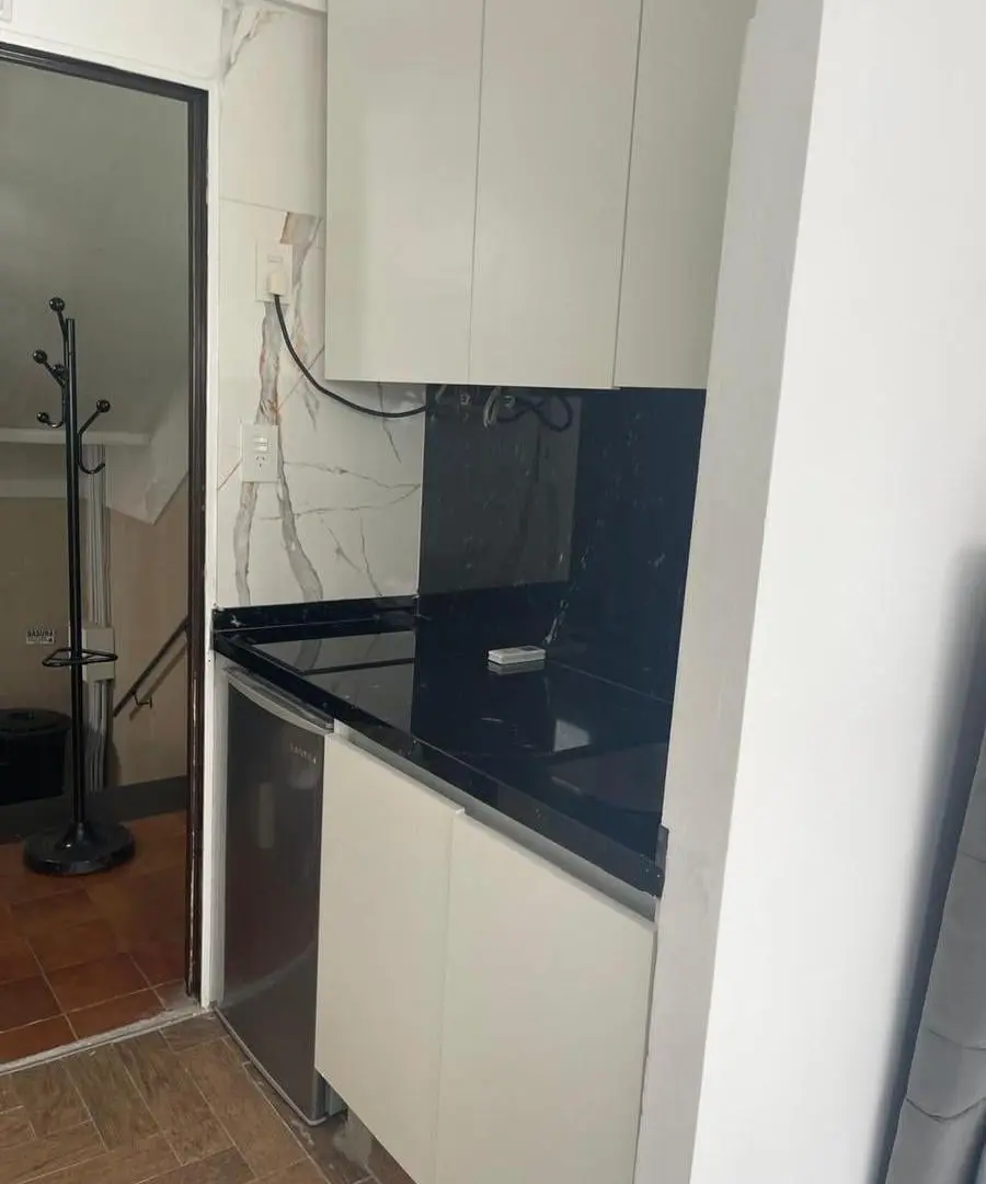 DEPARTAMENTO MONOAMBIENTE EN ALQUILER BARRIO NORTE 5