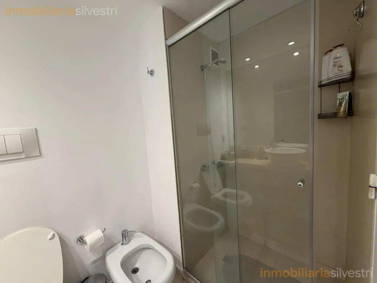Foto de DEPARTAMENTO MONOAMBIENTE EN ALQUILER PUERTO MADERO BUENOS AIRES, imagen 4