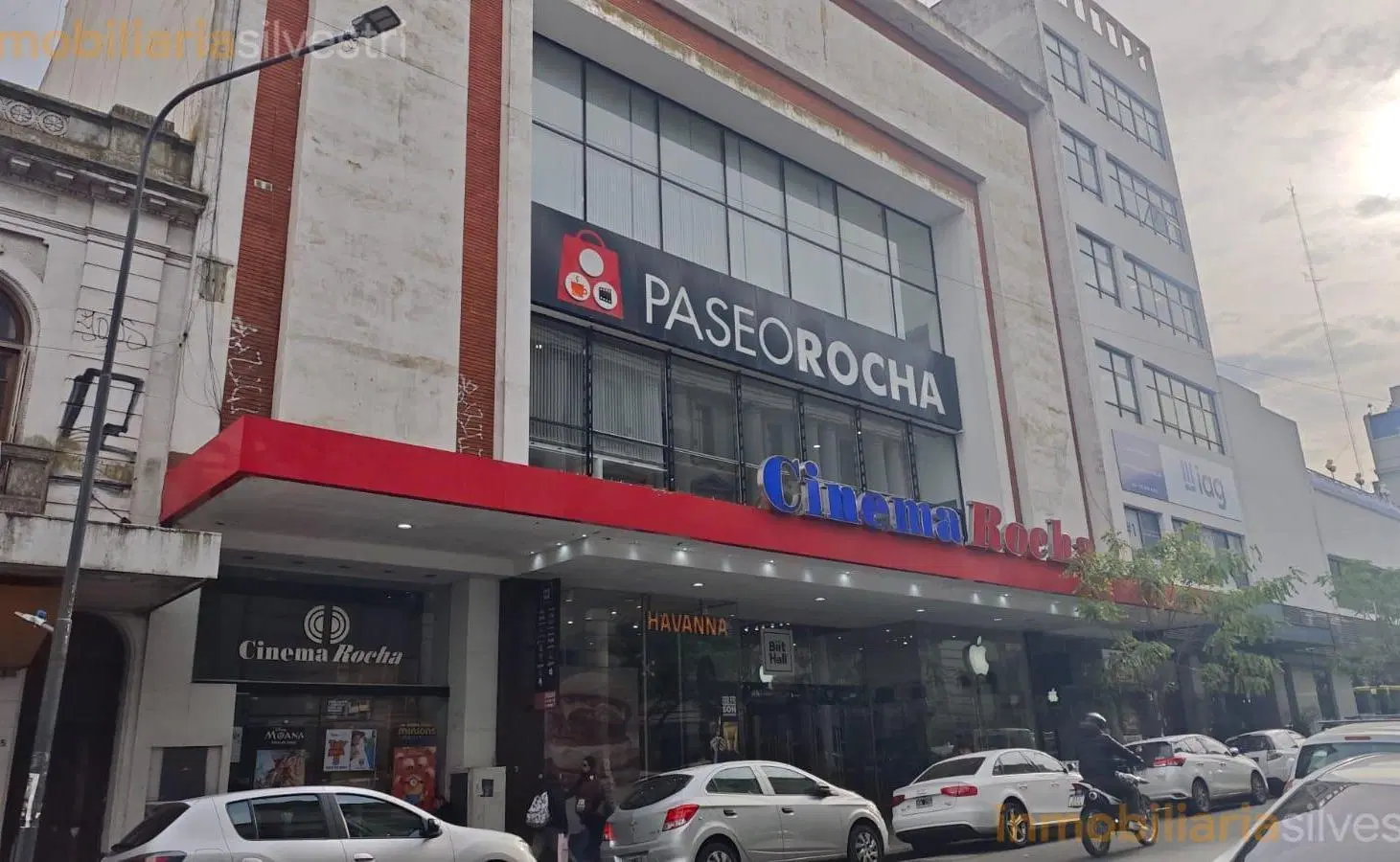 49 entre 7 y 8 Galería Rocha, La Plata - Local en ALQUILER 1