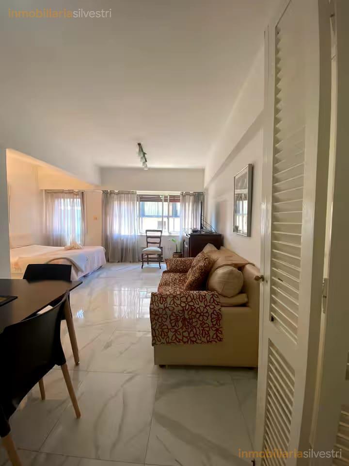 Foto de DEPARTAMENTO MONOAMBIENTE SOBRE FLORIDA EN ALQUILER BUENOS AIRES, imagen 1