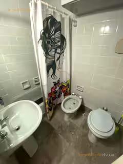Foto de DEPARTAMENTO MONOAMBIENTE SOBRE FLORIDA EN ALQUILER BUENOS AIRES, imagen 2