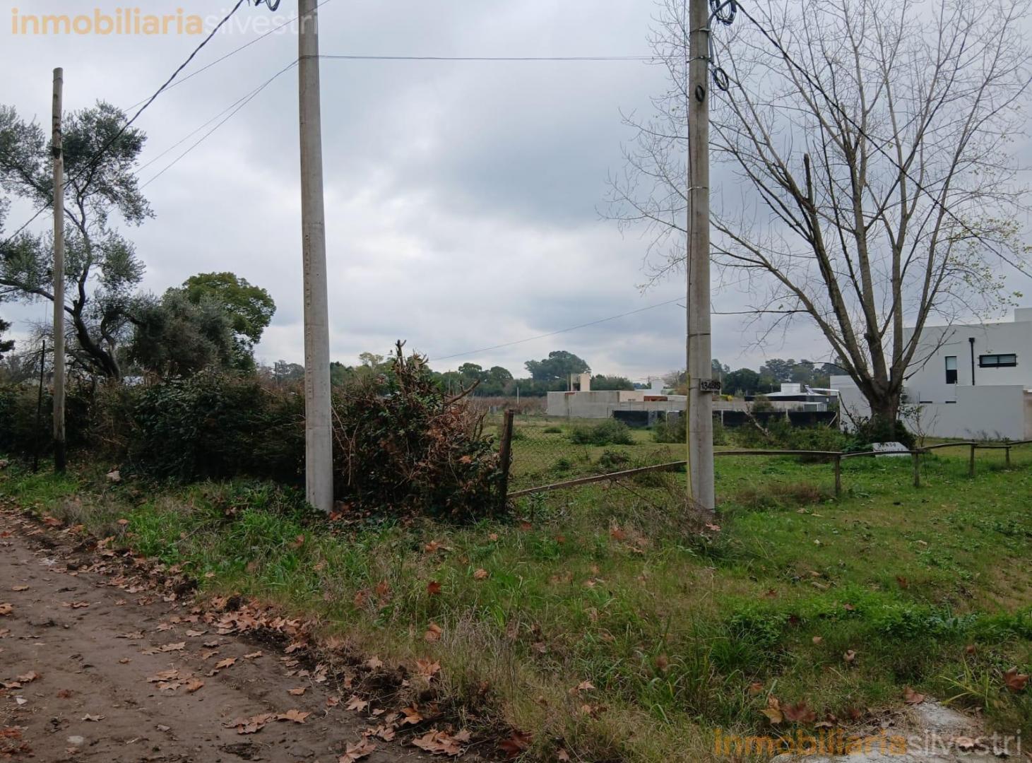 Foto de 407 Esquina 134 bis Villa Elisa - LOTE en VENTA, imagen 5