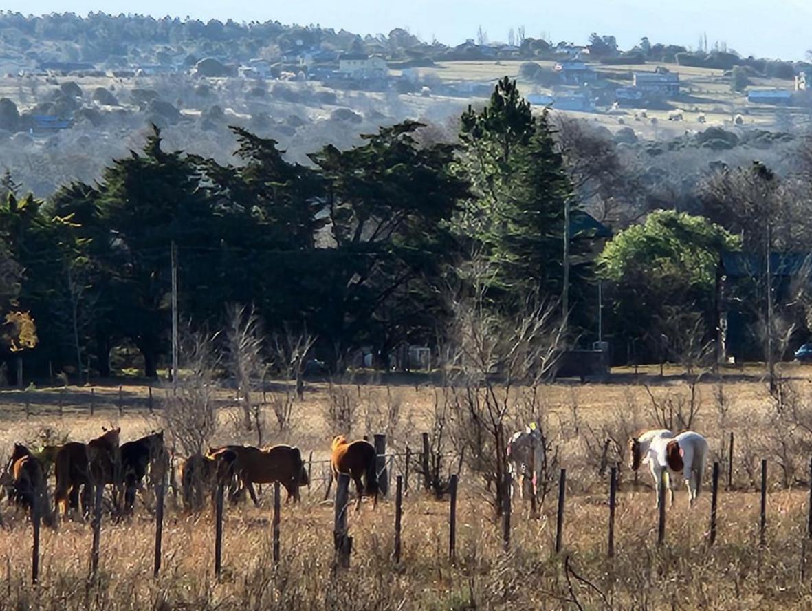 Foto de Vendo dueño directo. Hermoso y amplio lote en los Reartes, imagen 2