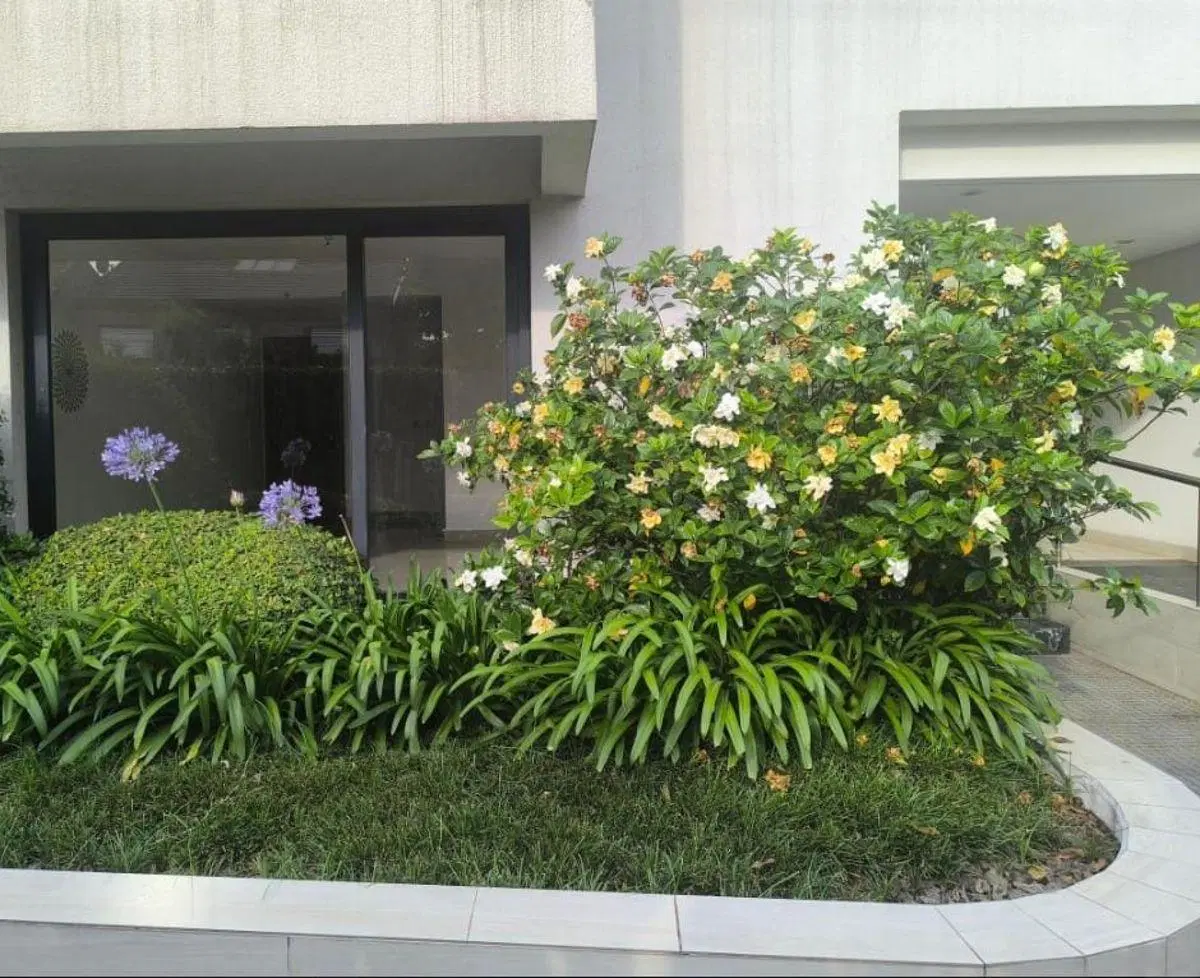Monoambiente en alquiler – Complejo Vilanova, Haedo 5