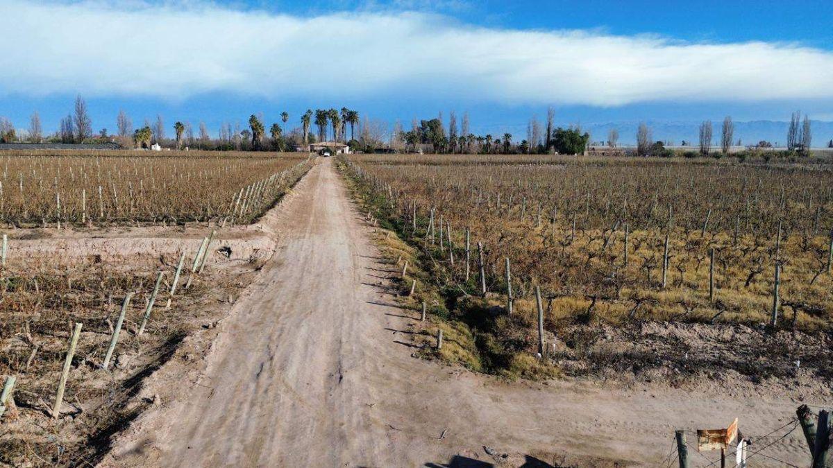 Foto de FINCA 7HA EN VENTA - D° RIEGO Y POZO - MAIPÚ, imagen 5
