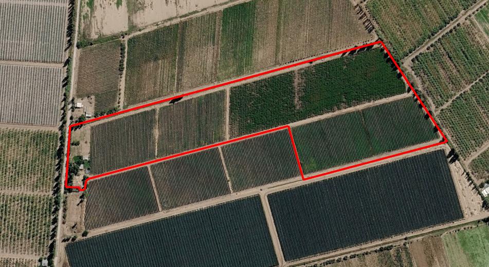 Foto de FINCA 7HA EN VENTA - D° RIEGO Y POZO - MAIPÚ, imagen 3