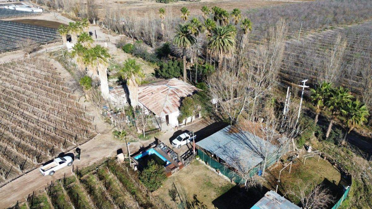 Foto de FINCA 7HA EN VENTA - D° RIEGO Y POZO - MAIPÚ, imagen 4
