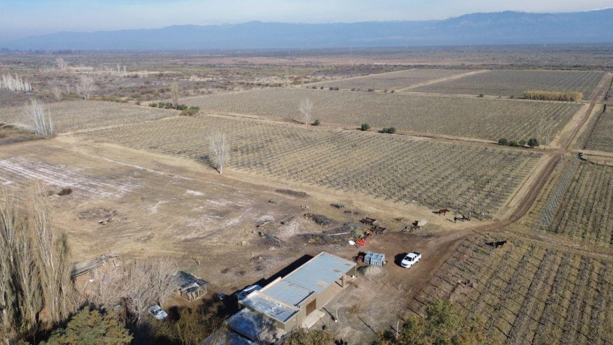Foto de FINCA DE 59 HA EN VENTA – RUTA 40 - D° DE RIEGO- CAPDEVILLA, imagen 5
