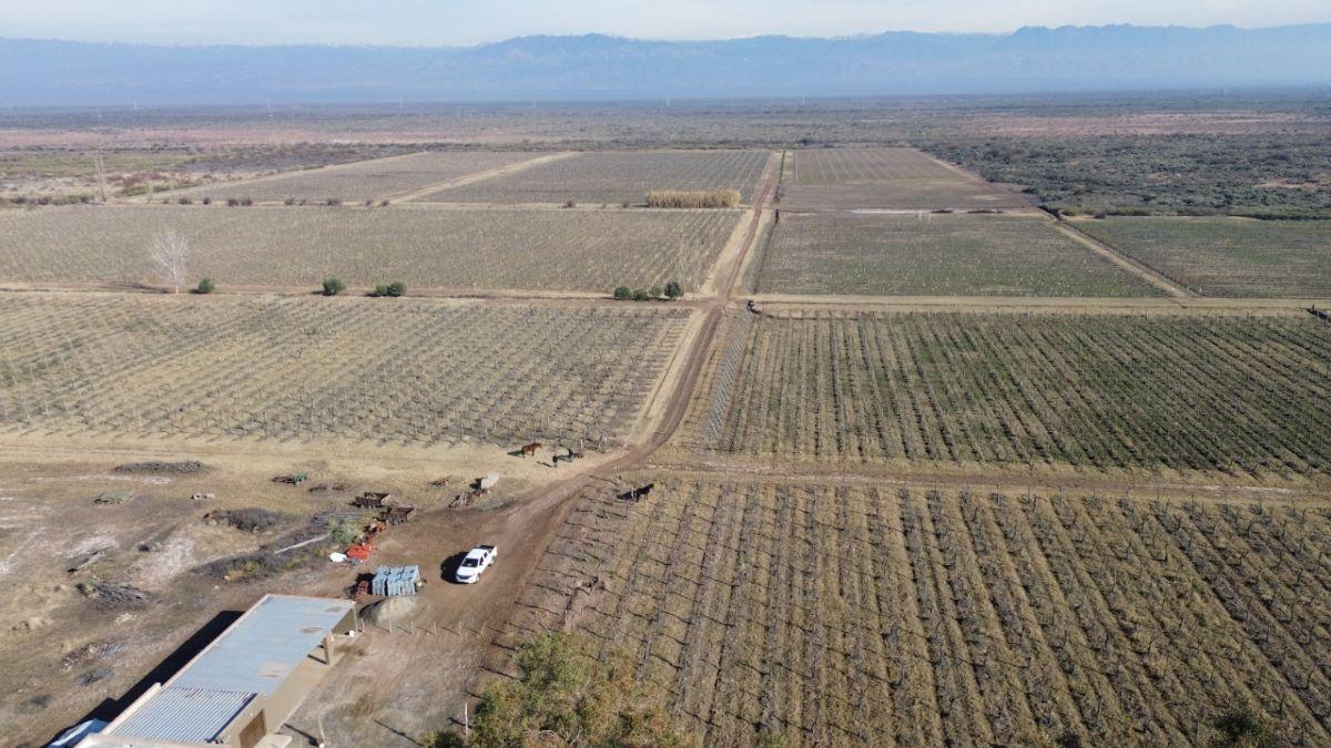 Foto de FINCA DE 59 HA EN VENTA – RUTA 40 - D° DE RIEGO- CAPDEVILLA, imagen 1