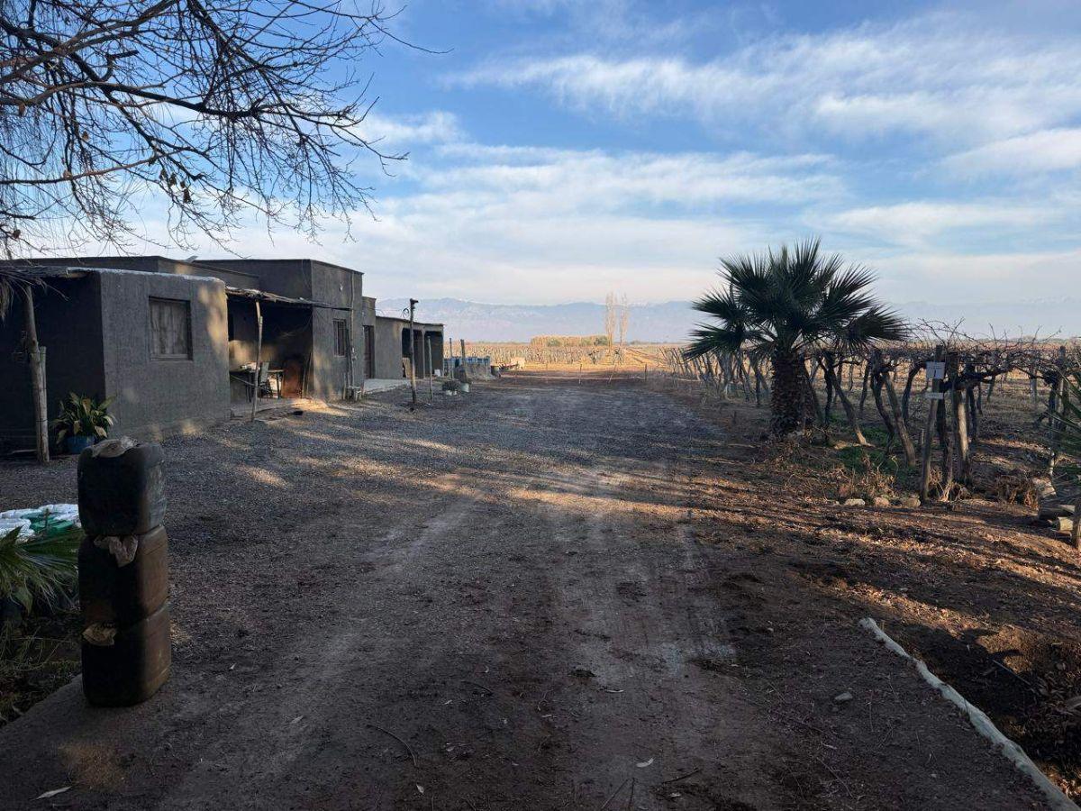 Foto de FINCA DE 59 HA EN VENTA – RUTA 40 - D° DE RIEGO- CAPDEVILLA, imagen 3