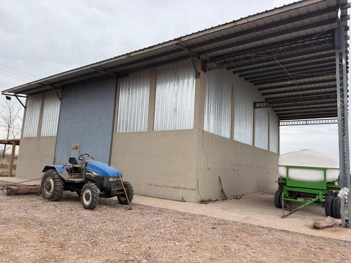 Foto de 74 HA CARRIL CHIMBAS - POZO NUEVO, GOTEO Y TELA ANTIGRANIZO, imagen 5