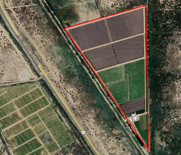Foto de FINCA DE 15 HA D° RIEGO, POZO, GOTEO, imagen 2