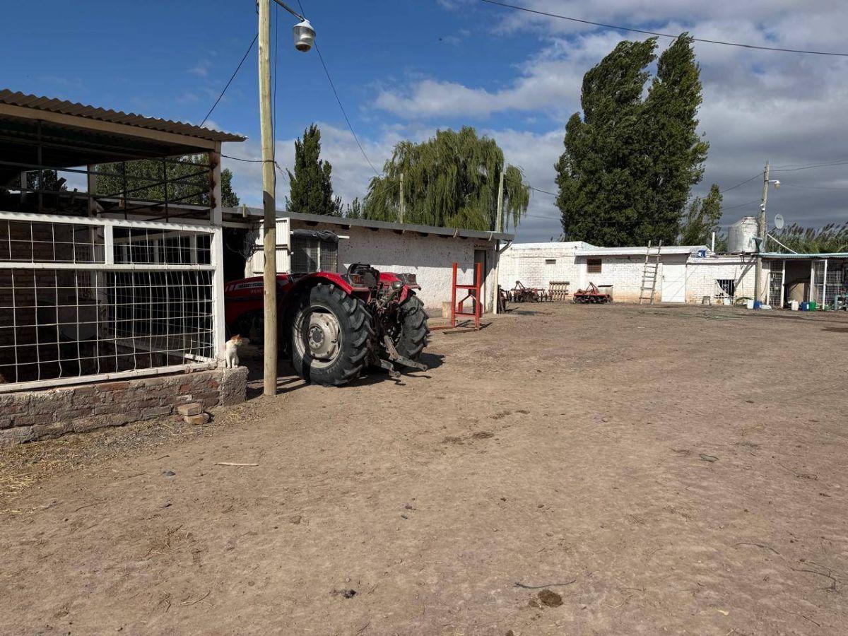 Foto de FINCA DE 15 HA D° RIEGO, POZO, GOTEO, imagen 2