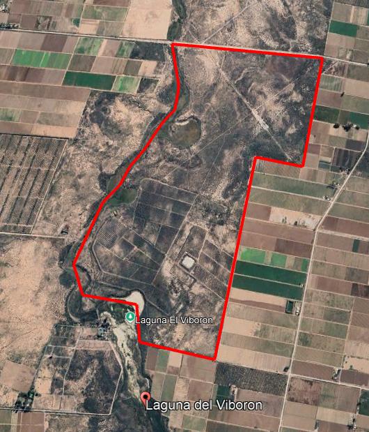 Foto de VENDE FINCA 200 HA - POZOS Y REPRESA - MAIPÚ, imagen 2