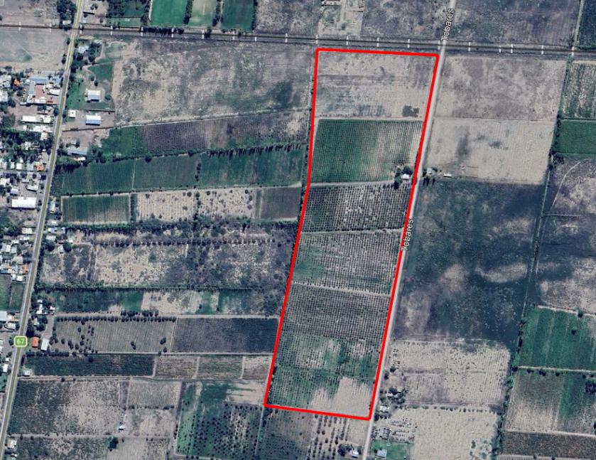 Foto de VENDE FINCA DE 17 HECTÁREAS 8.657 m² – D° A RIEGO Y POZOS - JUNIN, imagen 2
