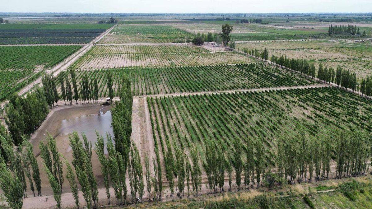 Foto de VENDE FINCA DE 45 HA – REPRESA Y POZOS -SAN MARTÍN, imagen 3